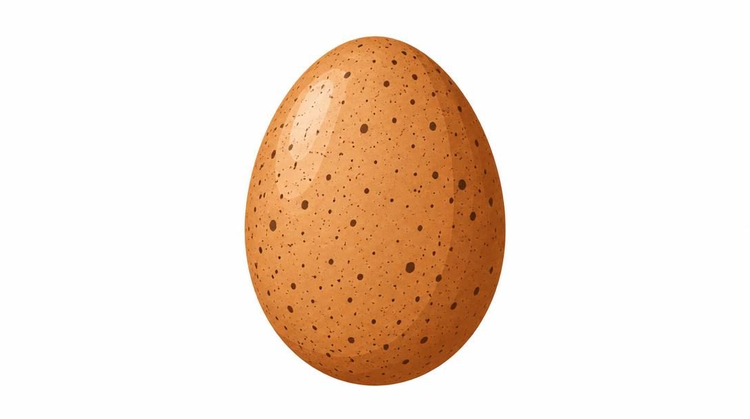 World Record Egg