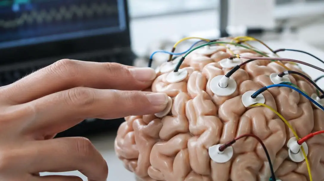5 Surprising Facts About the Science of Touch