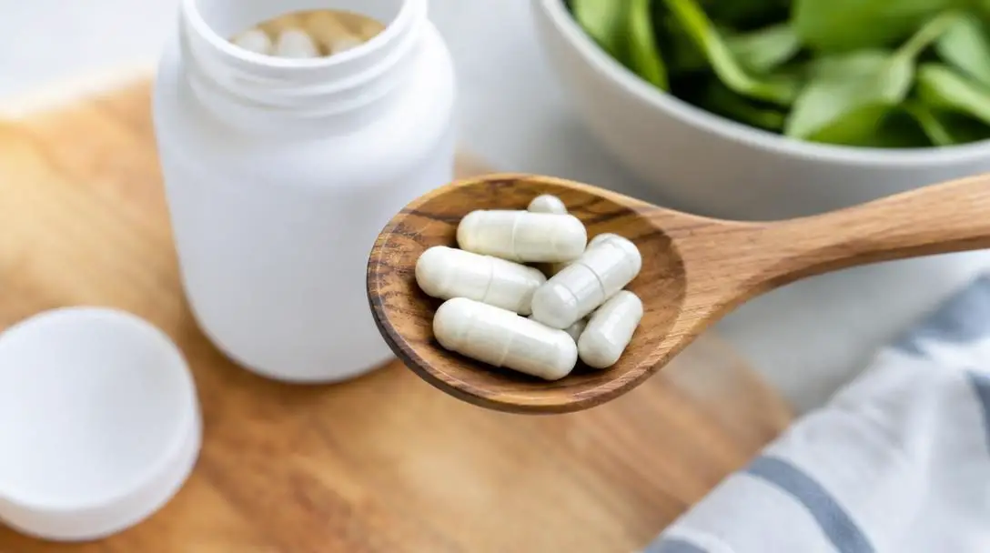 The 7 Different Types of Probiotics For Improved Gut Health